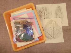 Leaf Rubbings