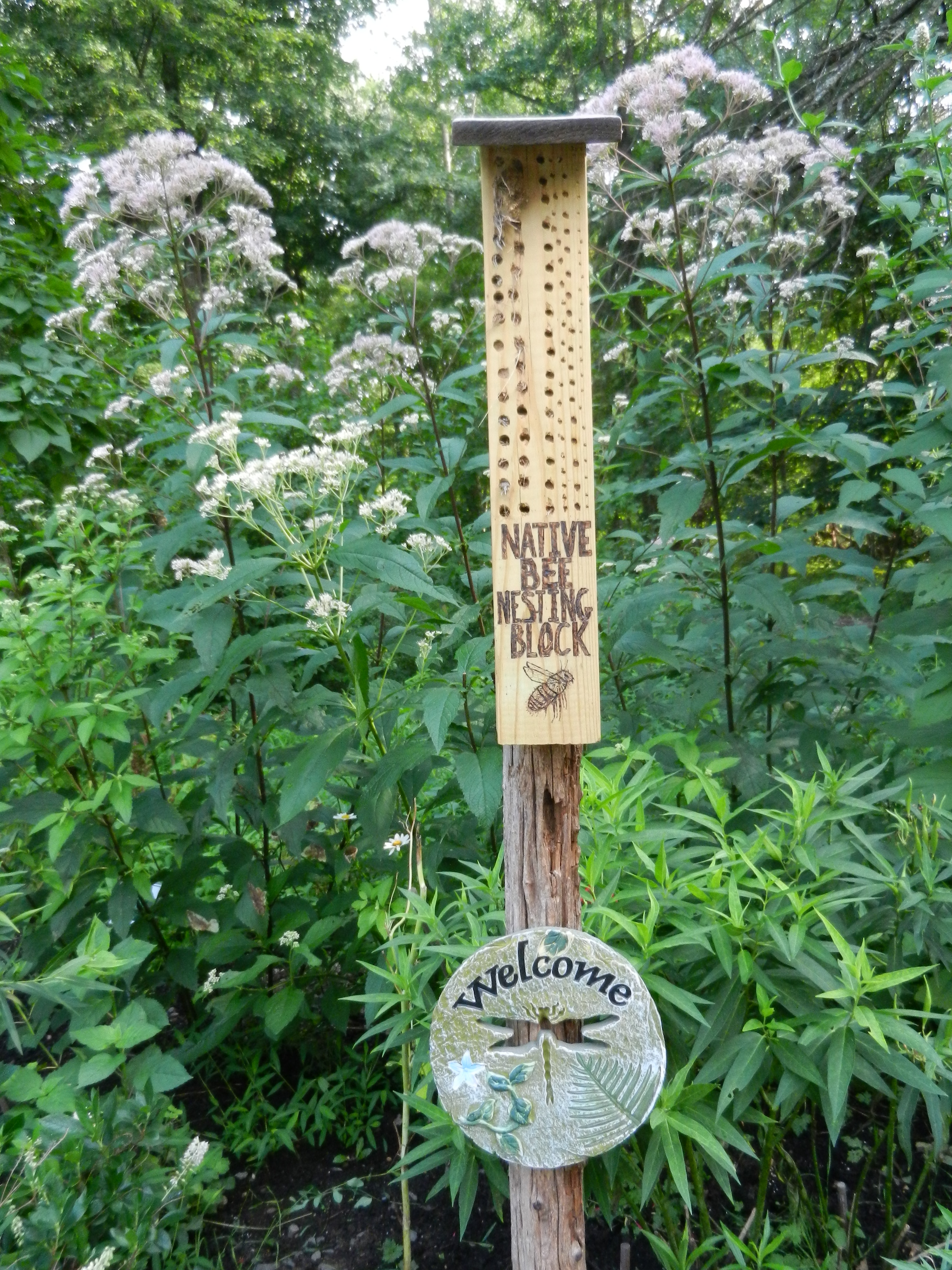 Buzz Into Action with Pollinator Nest Boxes! – Nature Into Action