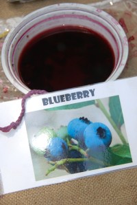 Dyeing with Natural Materials