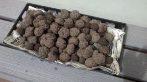 Seed Balls Drying