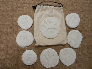 Clay Animal Tracks