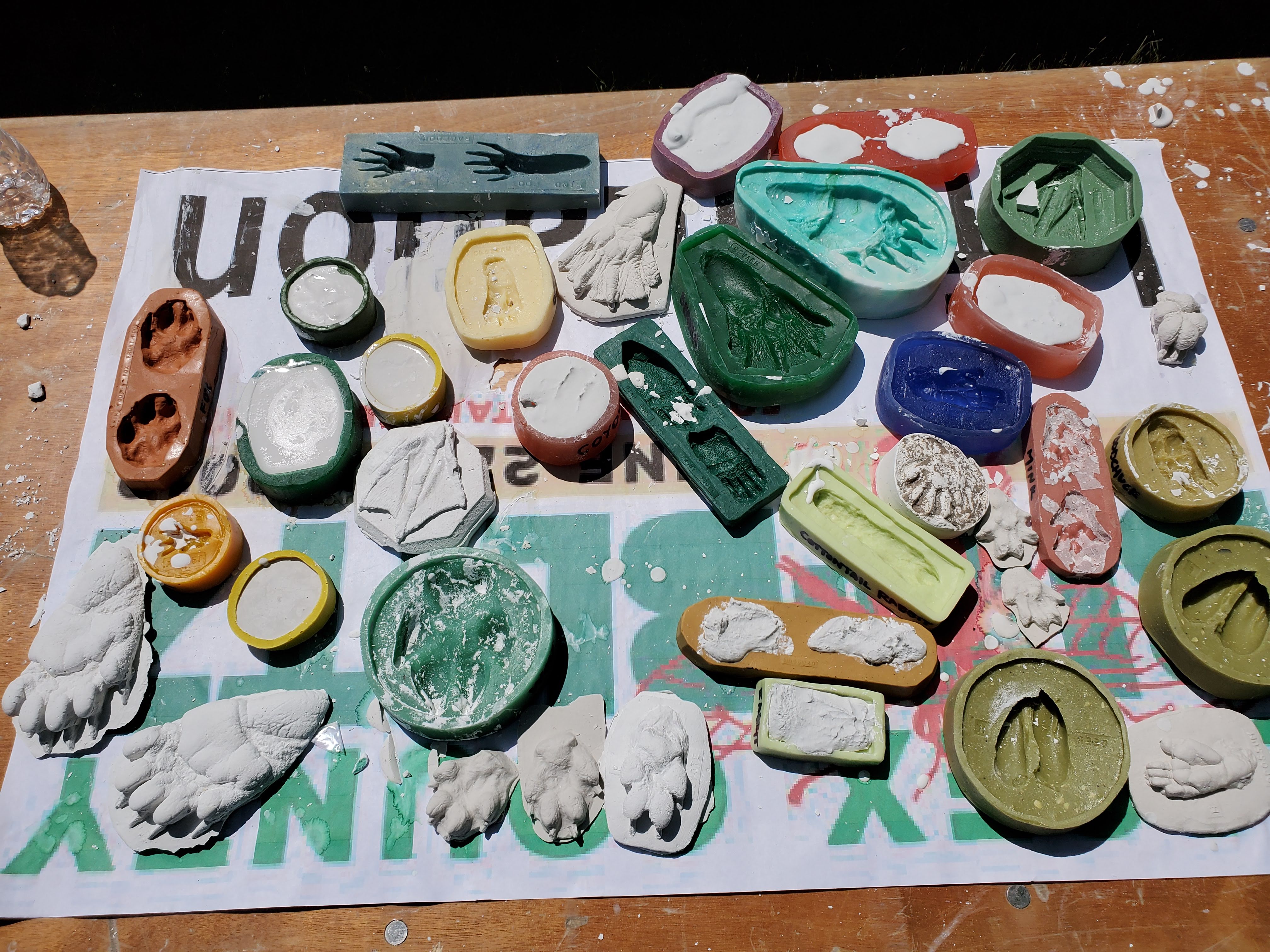 Making Plaster Animal Tracks – Set it and Forget it. – Nature Into Action