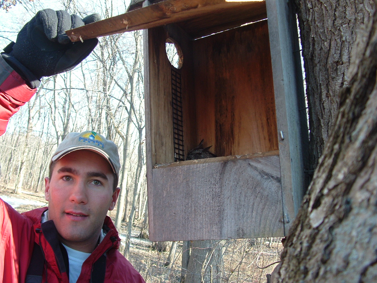 David &amp; Screech Owl