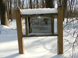 Bird Lake Trail Sign