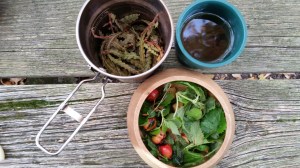 Wild Foraged Autumn Salad (3)