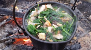 Wild Foraged Autumn Soup (4)