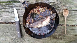 Wild Foraged Trout, Hen of the Woods, Chives Meal with Sumac Seed Spice (5)