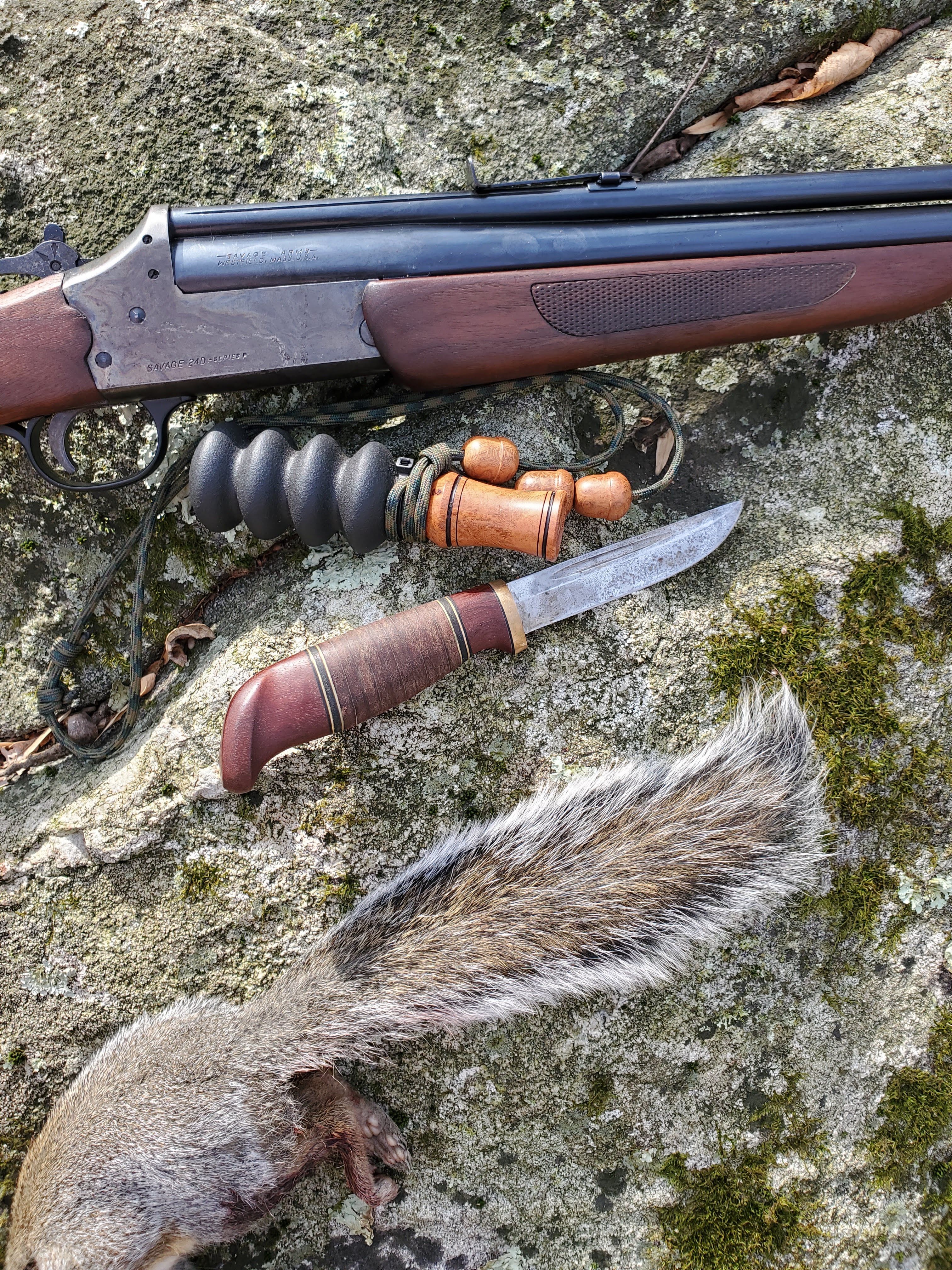 grey squirrel, small game, new jersey