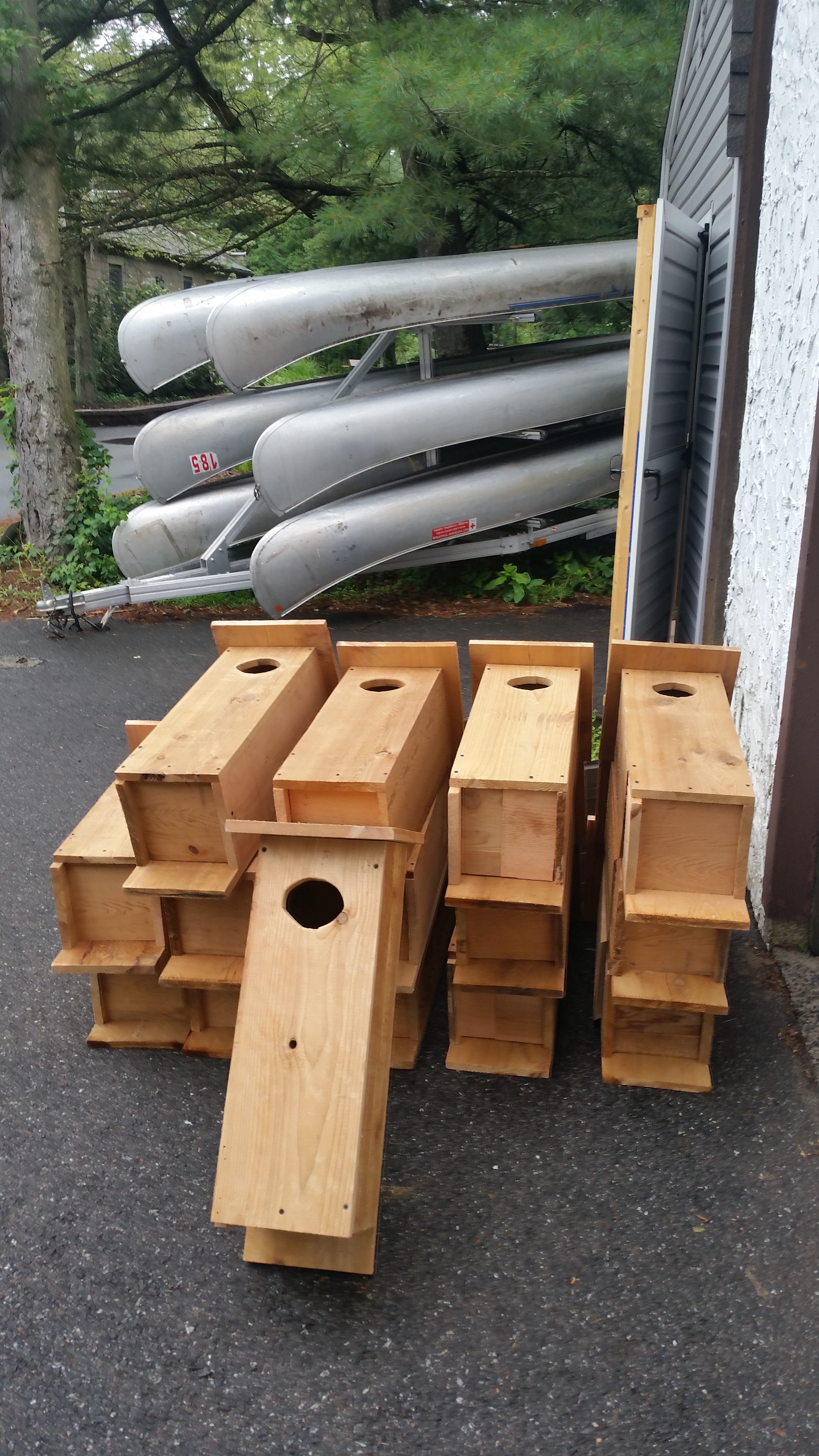 Citizen Science & Wood Duck Boxes – Nature Into Action